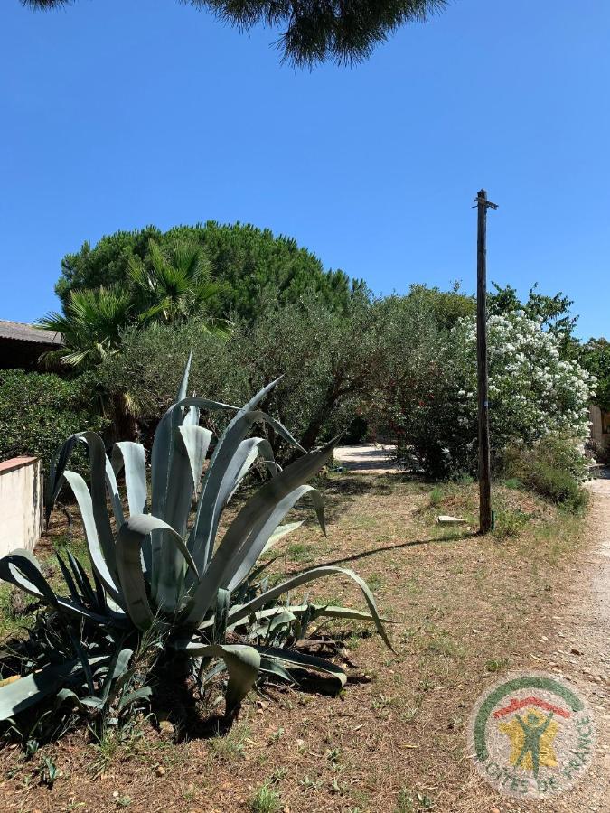 Apartamento Mas de Plisset Saint-Gilles  Exterior foto